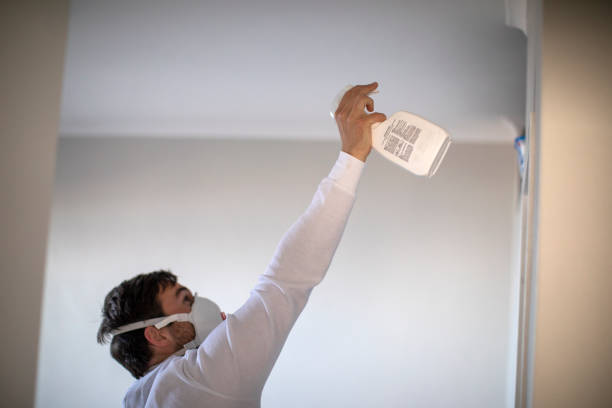 Best Residential Mold Remediation in Oak Ridge, NC