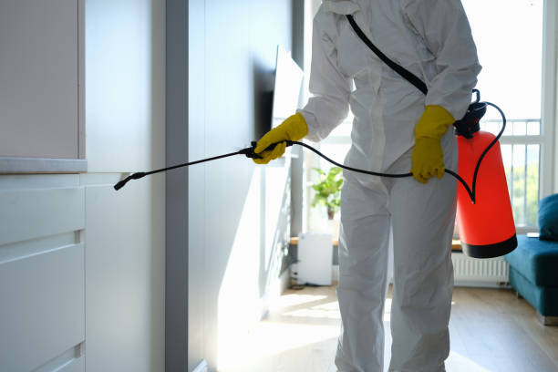 Oak Ridge, NC Mold Remediation Company